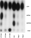 FIG. 5.