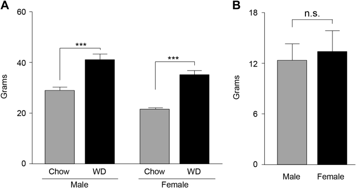 Figure 1