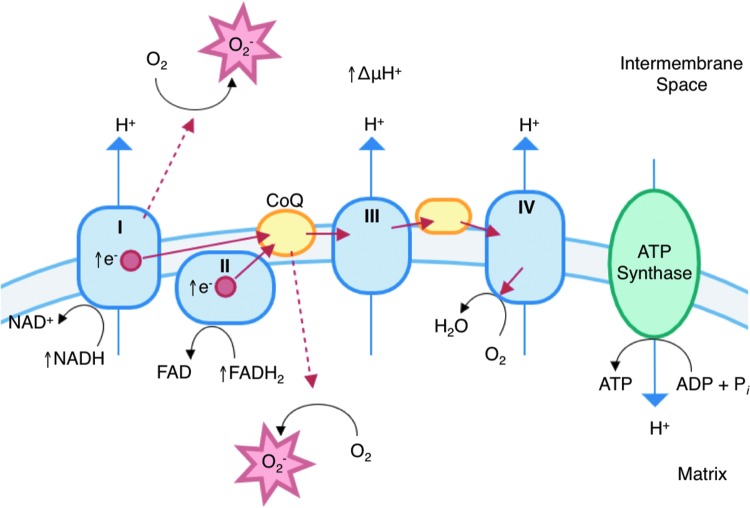 FIG. 6.