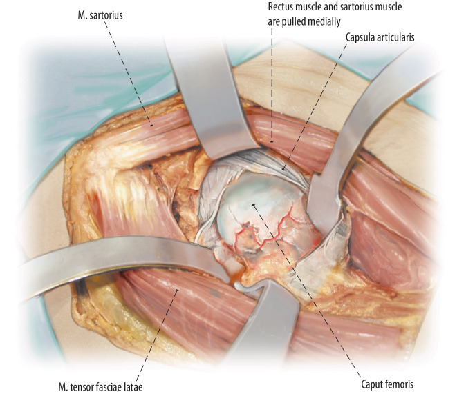 Fig. 8