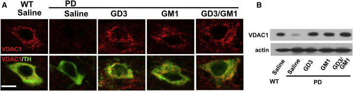 Figure 4