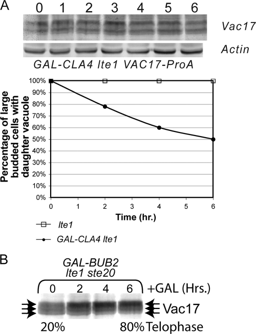 FIG. 7.