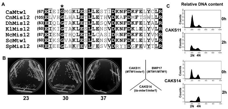 Figure 4