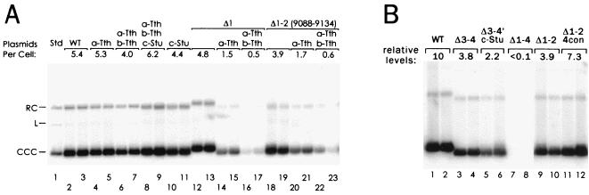 FIG. 7