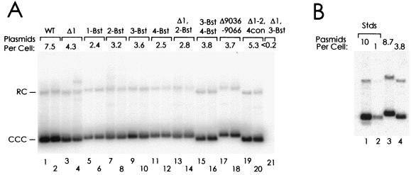 FIG. 6