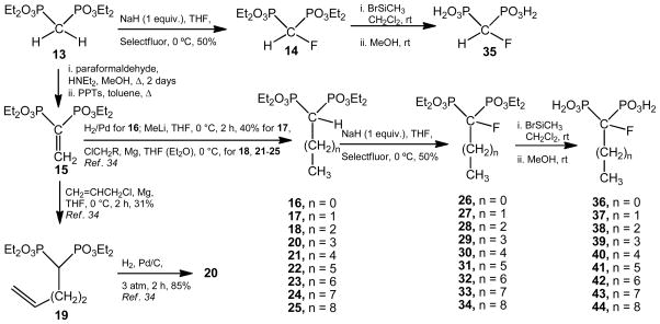 Scheme 2