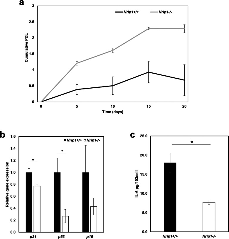 Fig. 8