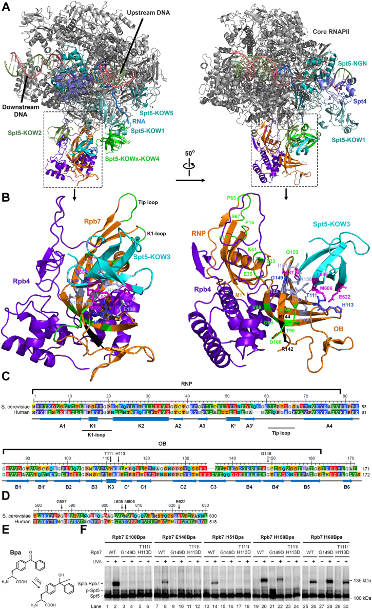 Figure 5