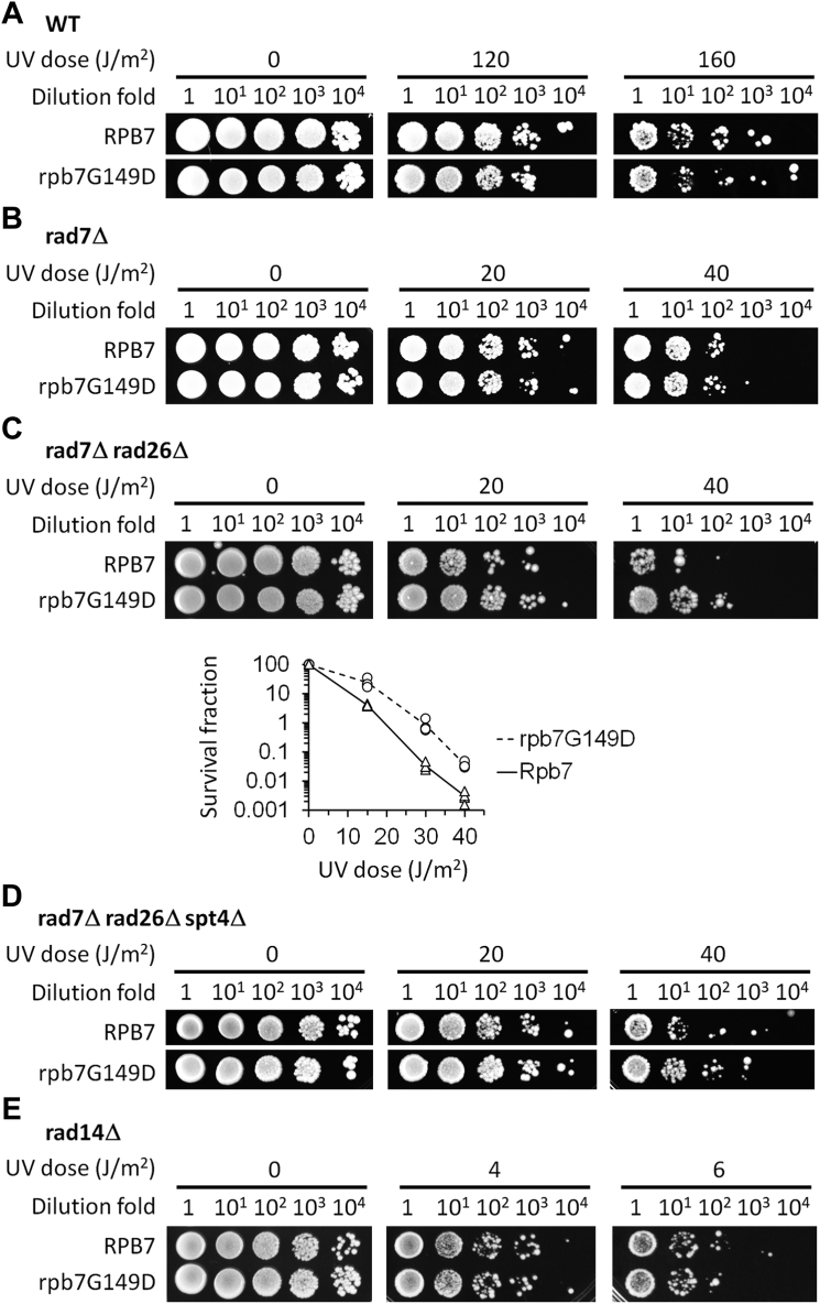 Figure 2