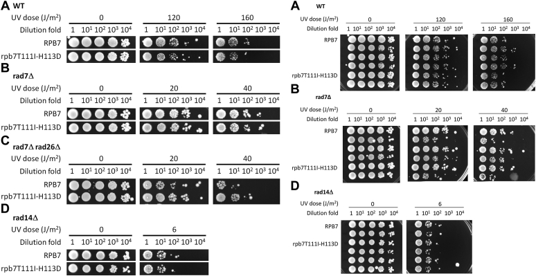 Figure 6