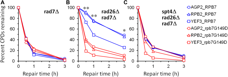 Figure 4