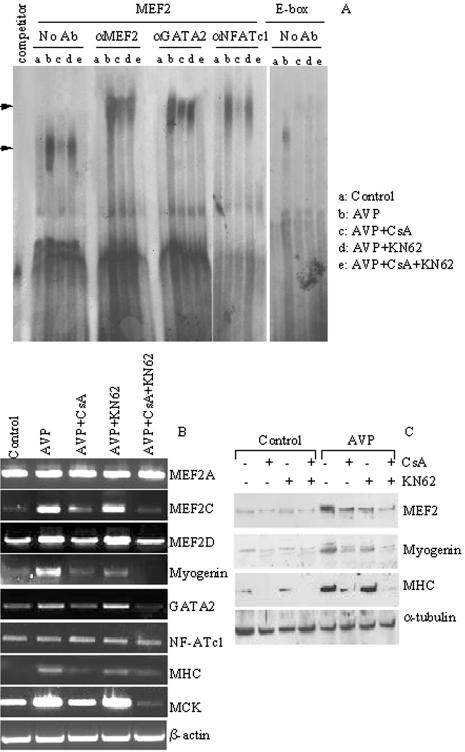 Figure 7.