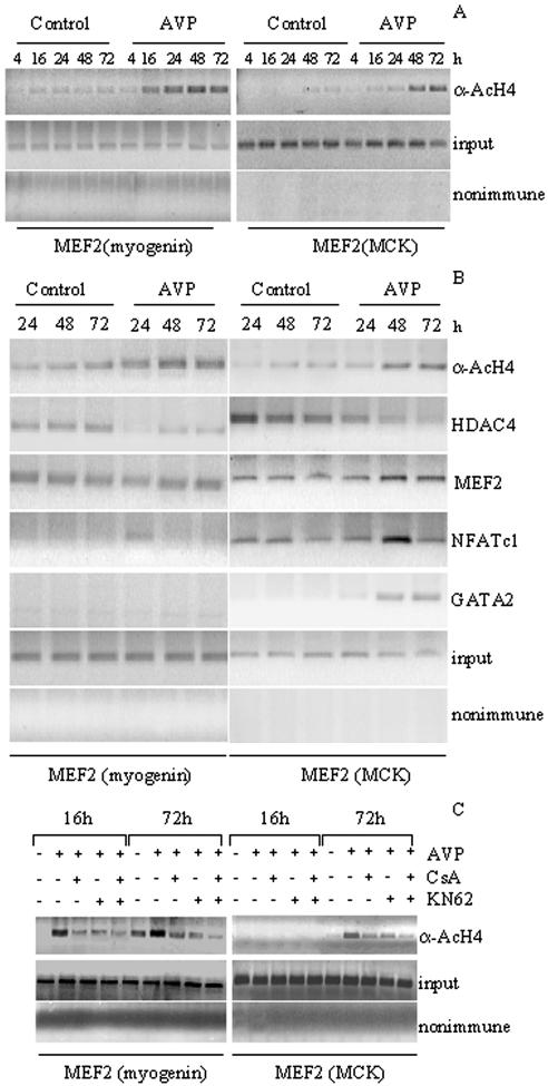 Figure 6.