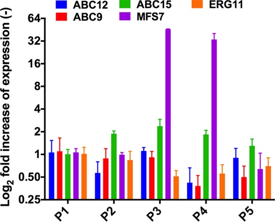 FIG 4