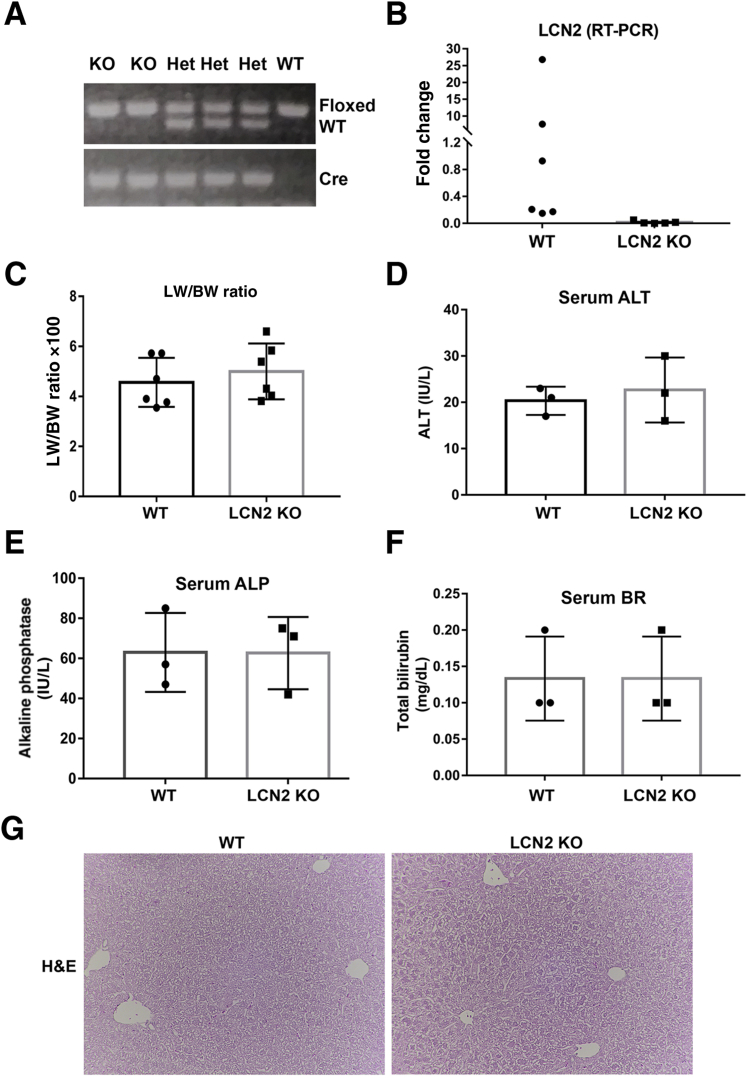 Figure 4