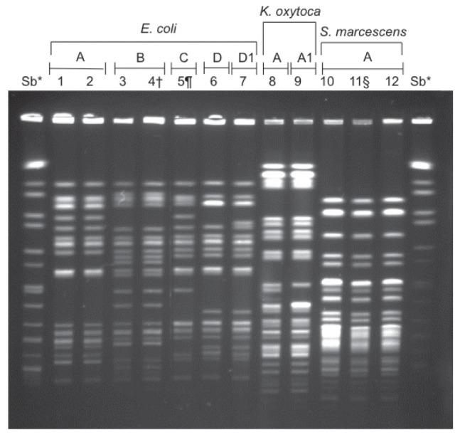 Figure 2)