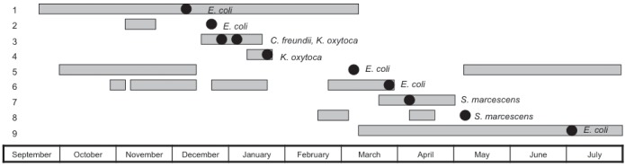 Figure 1)