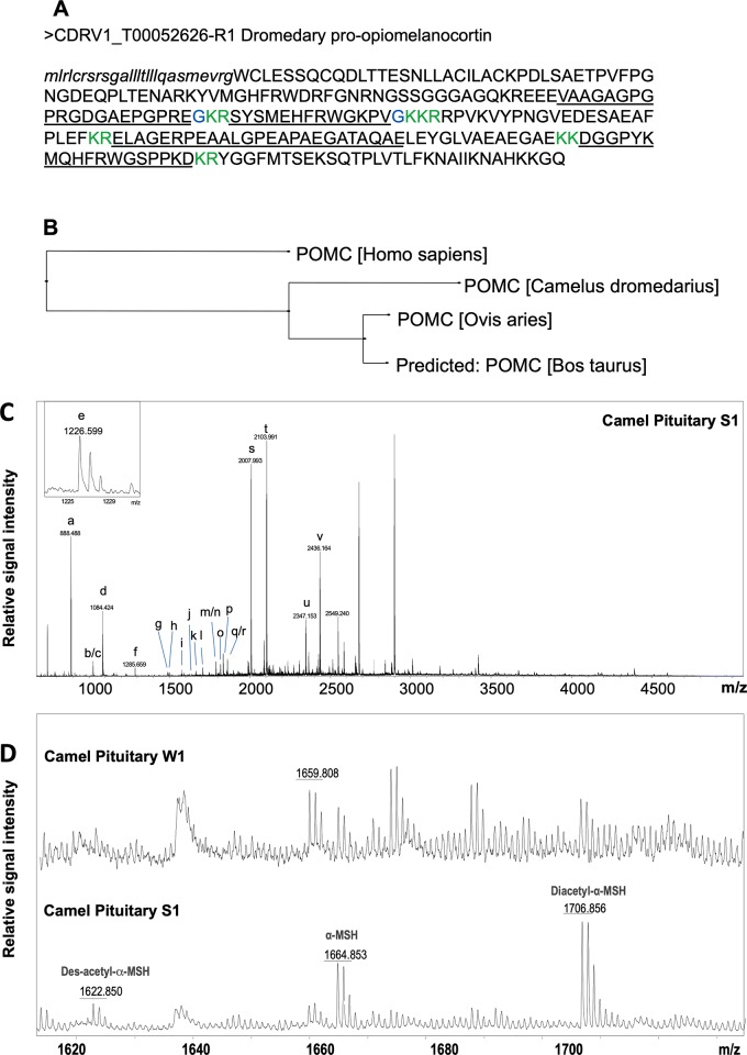 Fig 12