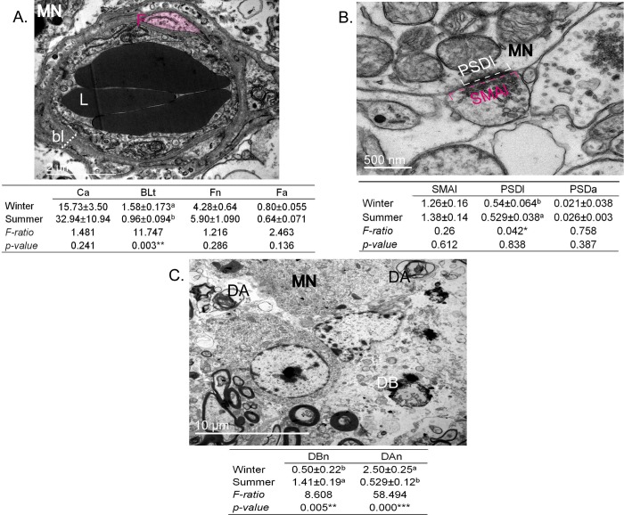 Fig 10