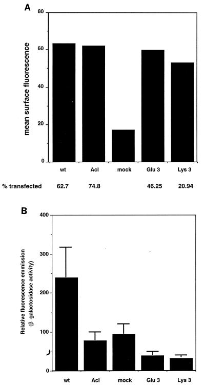 FIG. 10