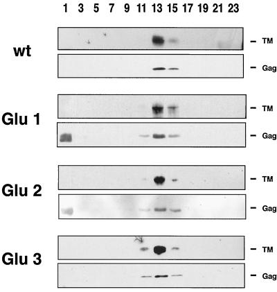 FIG. 7