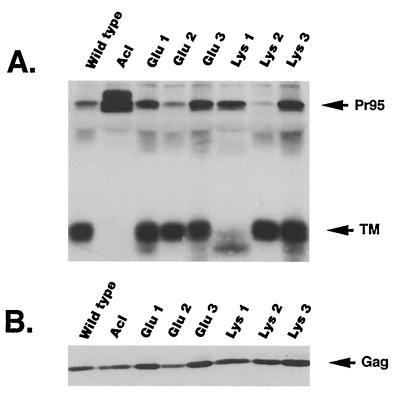 FIG. 6