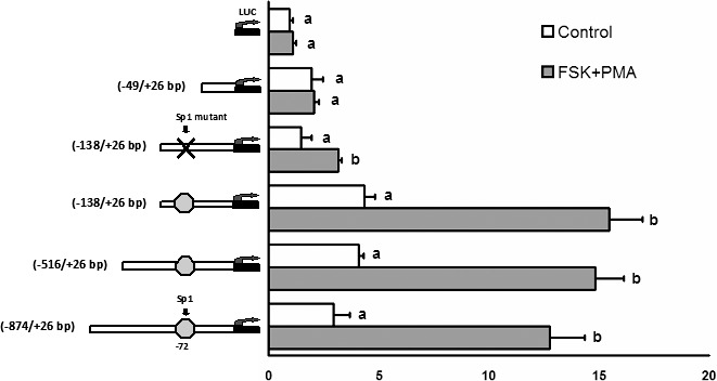 FIG. 4. 