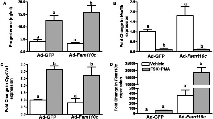 FIG. 6. 