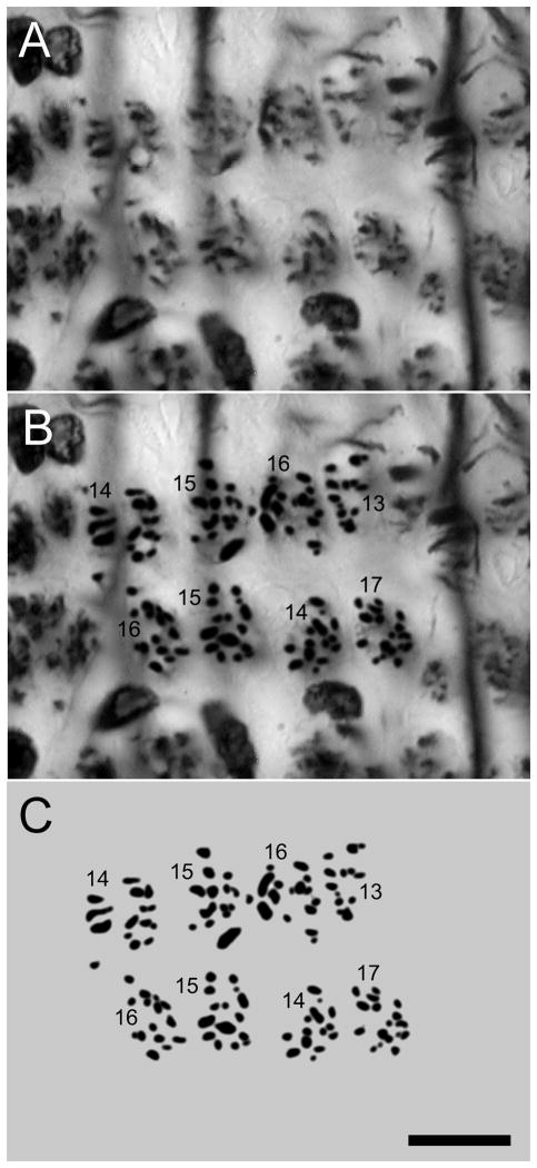 Fig. 3