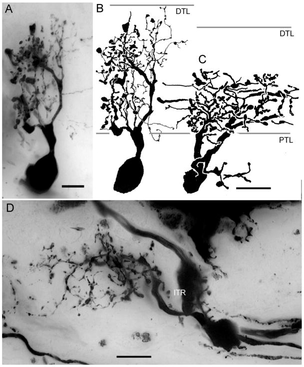 Fig. 13