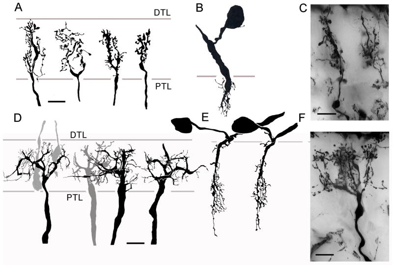 Fig. 11