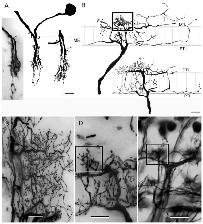 Fig. 9