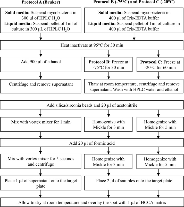 FIG 1