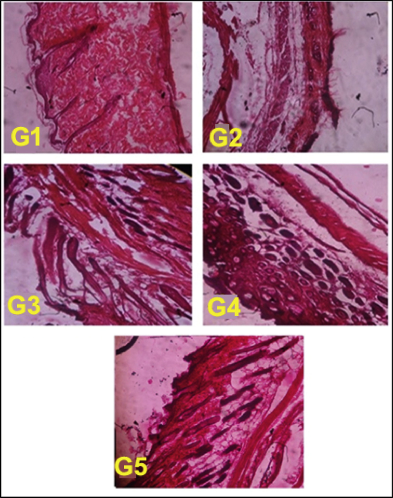 Fig. 8.