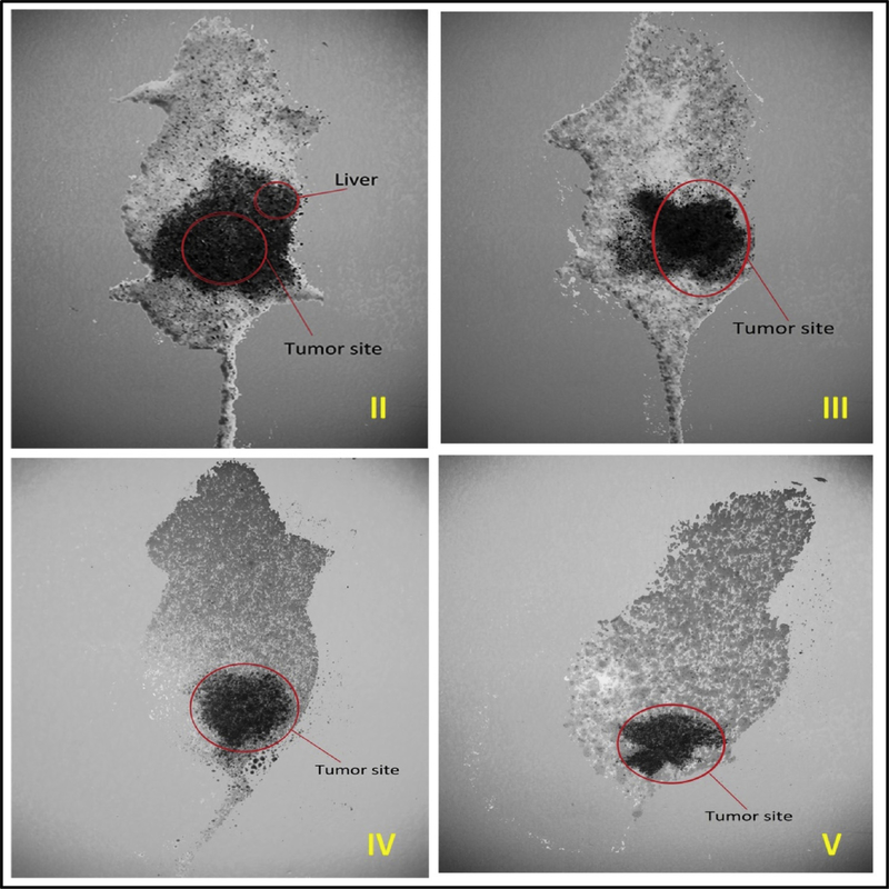 Fig. 9.