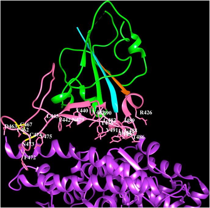 Fig. 2A