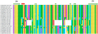 Fig. 2D