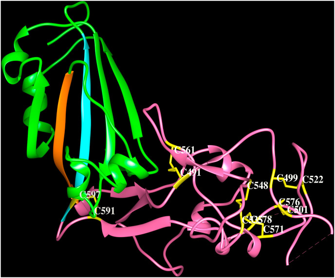 Fig. 4B