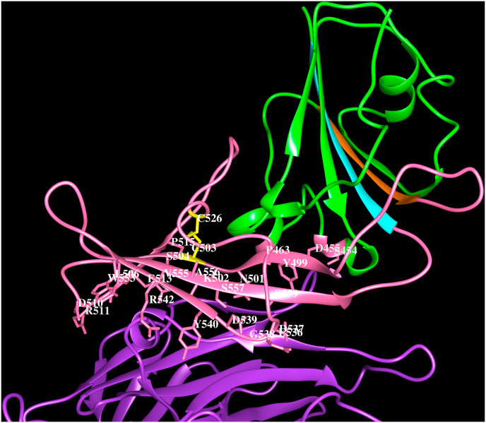 Fig. 3B