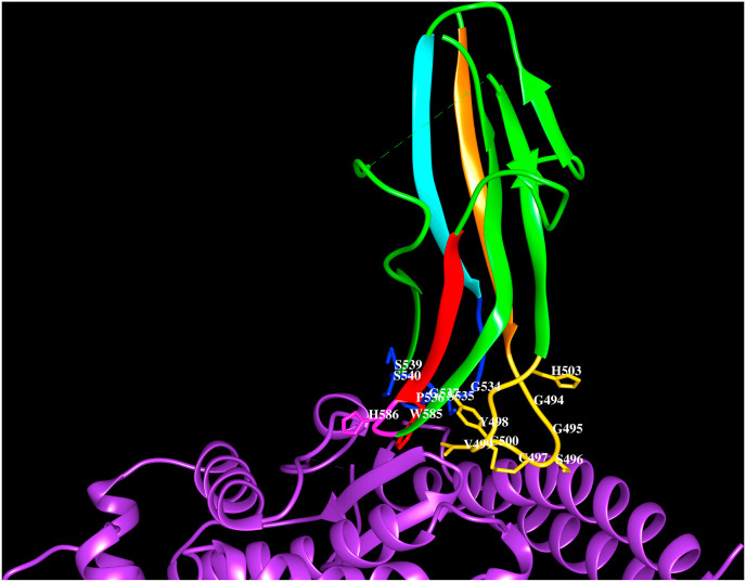 Fig. 4D