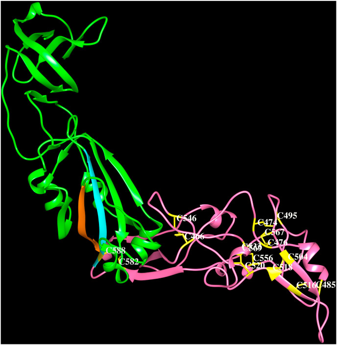 Fig. 4C