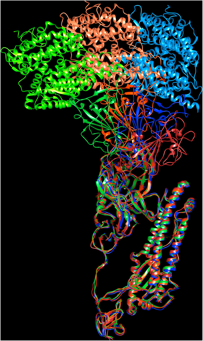 Fig. 1D