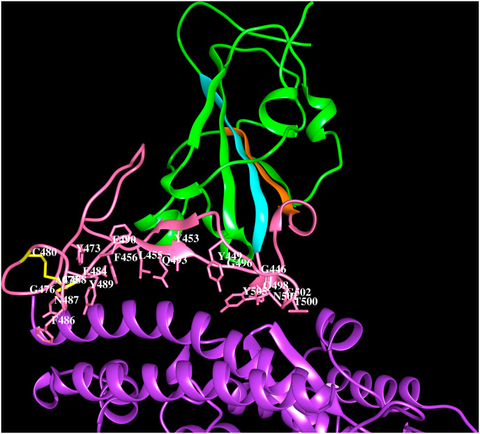 Fig. 2B