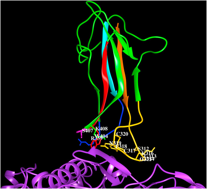 Fig. 4E