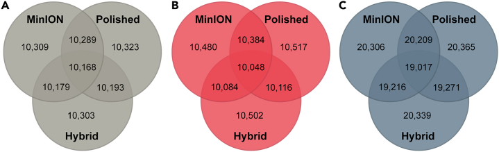 Figure 3