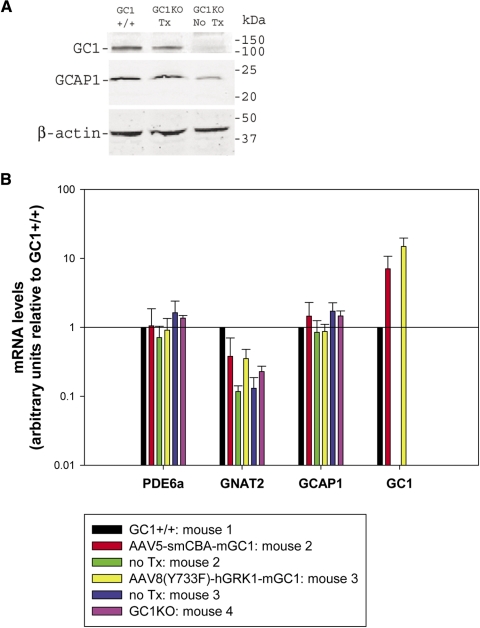 Figure 5.