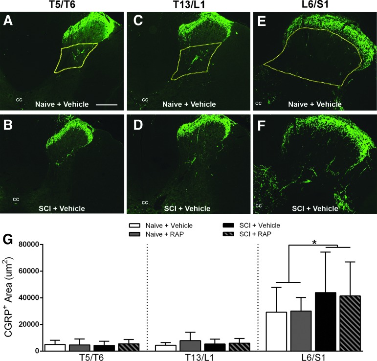 FIG. 7.