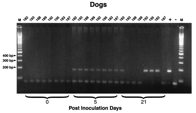 FIG. 8