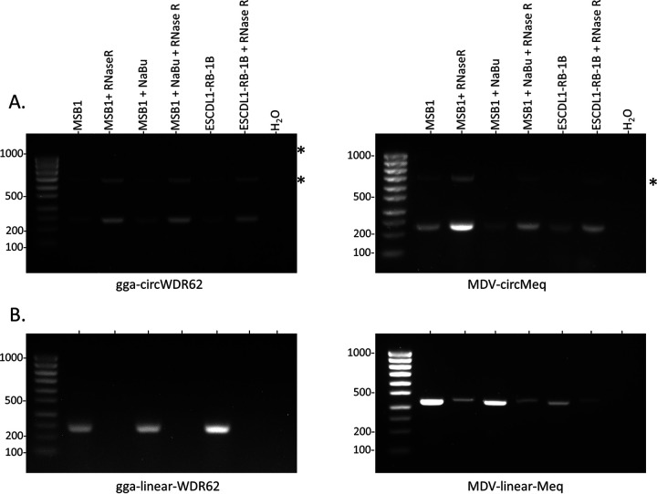 FIG 2