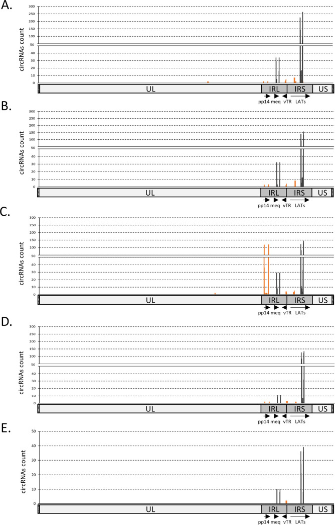 FIG 6